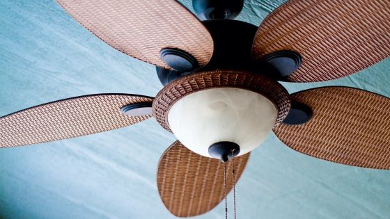 When was the last time you used your ceiling fans? Here's why you should be using them more often.
