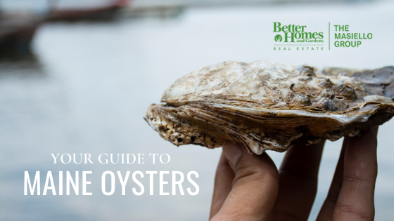 Maine Oysters