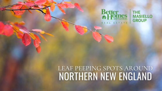 Northern New England Fall