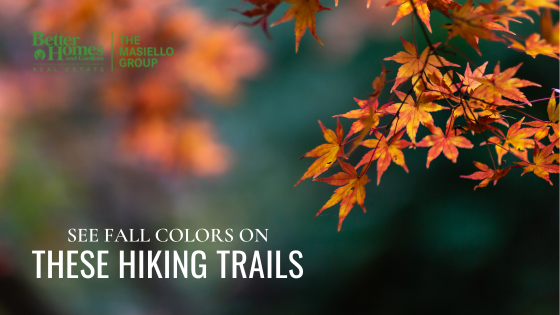 Hiking Trails New England