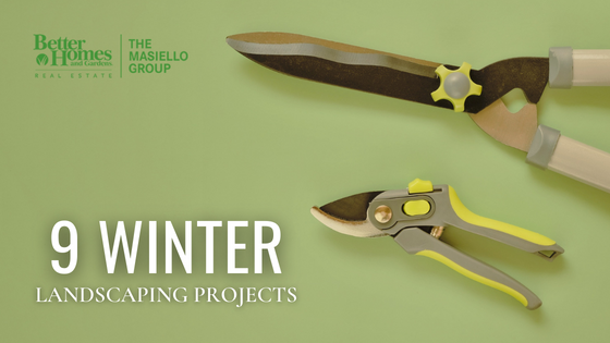 Winter Landscaping