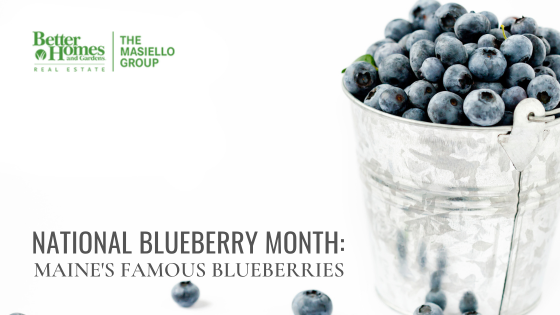 Maine Blueberry