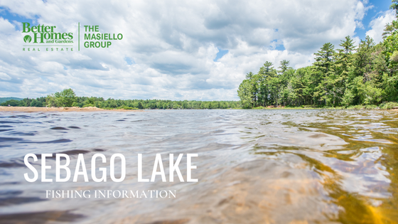 Sebago Lake